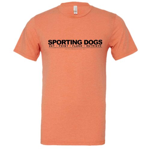 Sporting Dogs: Set • Point • Flush • Retriever