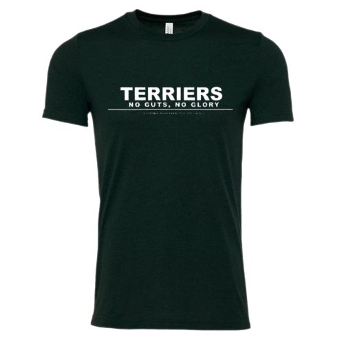 Terriers • No Guts No Glory