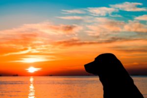 PhotoContest2025